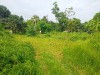 Sale for Land
